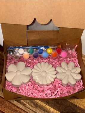 Flower-Shaped Paintable Plaster Set with Paints
